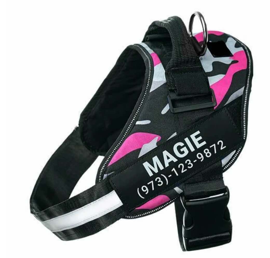 Personalised custom reflective dog harness