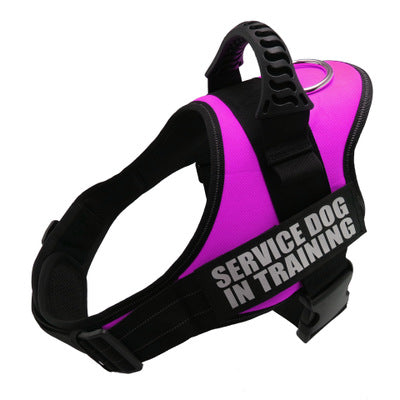 Personalised custom reflective dog harness