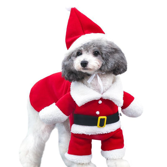 Dog Christmas costume