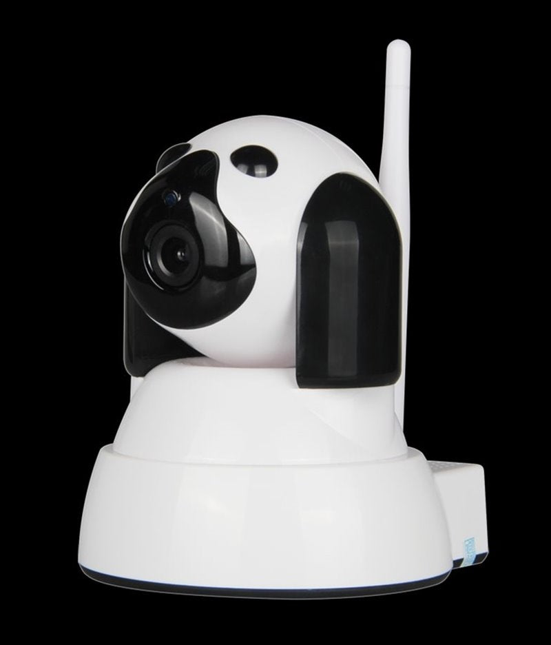 Home dog monitor Camera