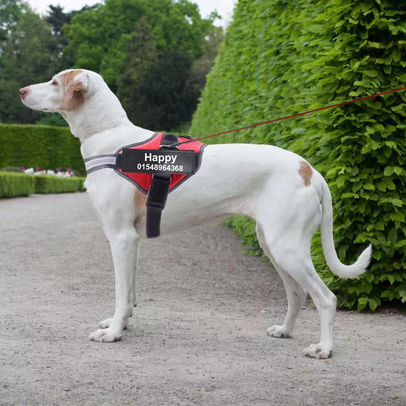 Personalised custom reflective dog harness