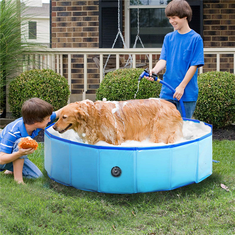 Dog pool