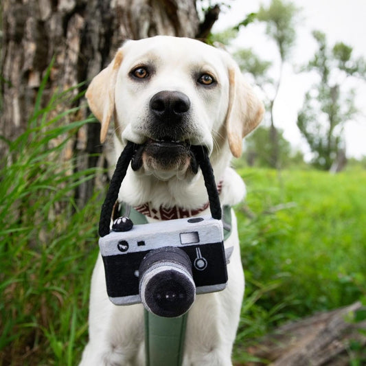 Dog camera photo prop toy