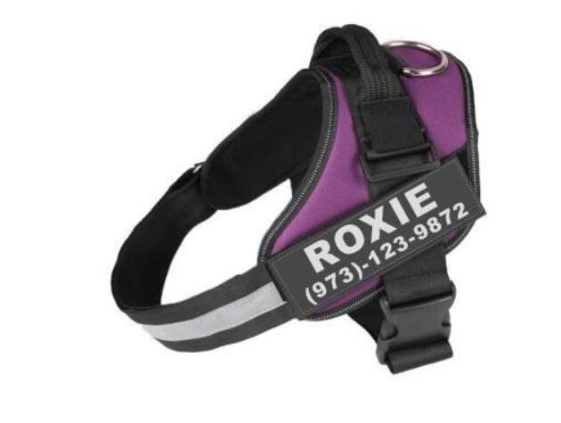 Personalised custom reflective dog harness