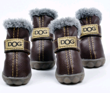 Dog boots