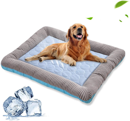 Dog cooling bed