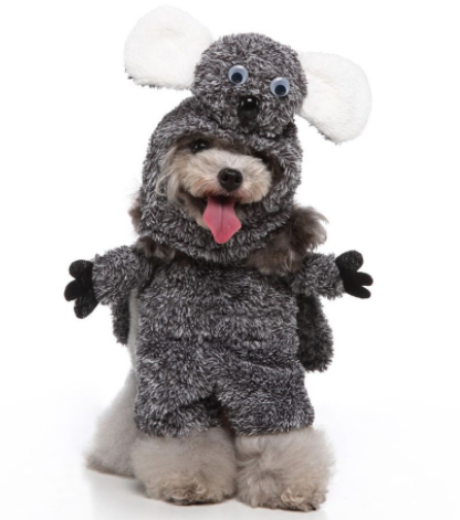 Dog dress up costumes