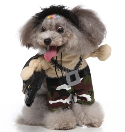 Dog dress up costumes