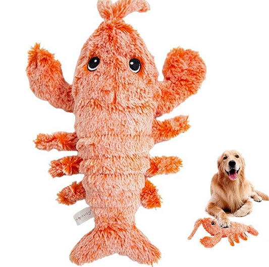 Interactive dog toy