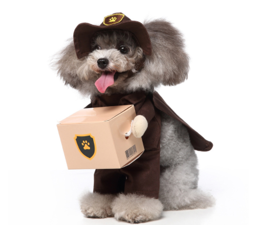 Dog dress up costumes