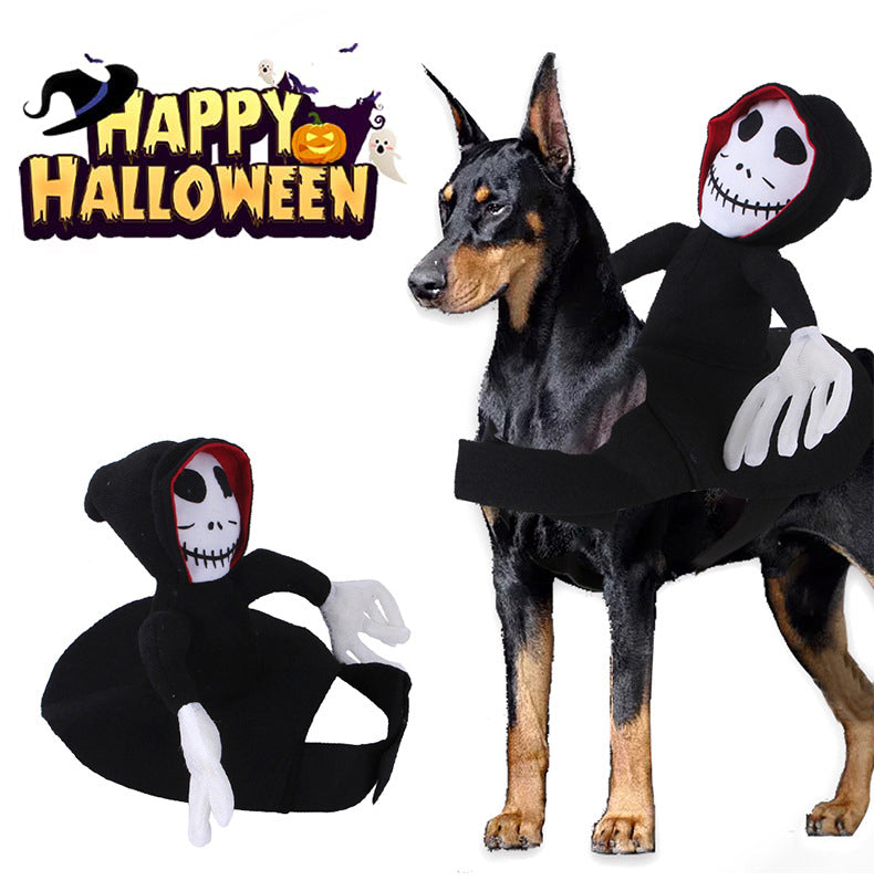 Dog costume