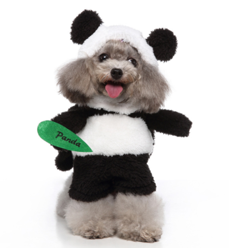 Dog dress up costumes