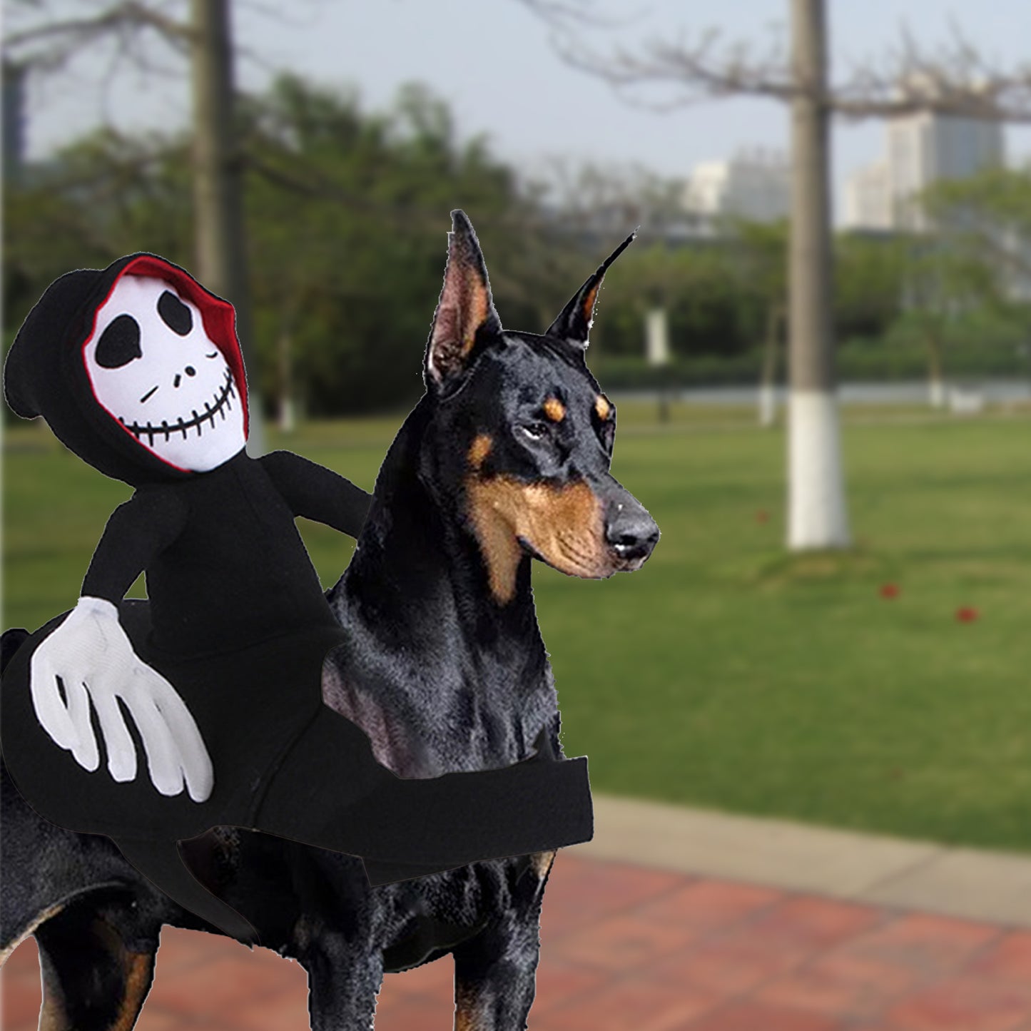 Dog costume