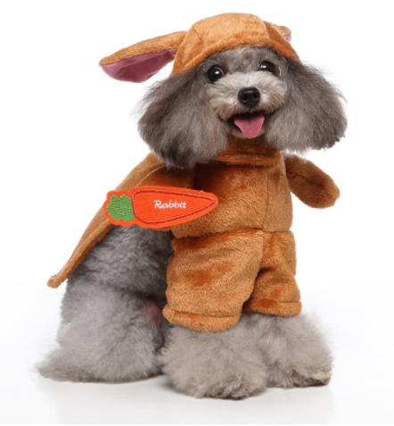 Dog dress up costumes